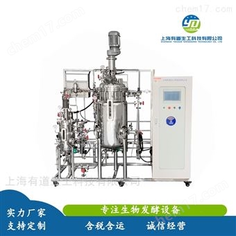 ������������͹�